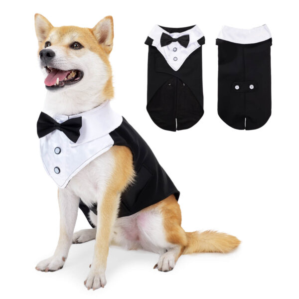 Vd80 Bow Dress For Dogs Black (1)