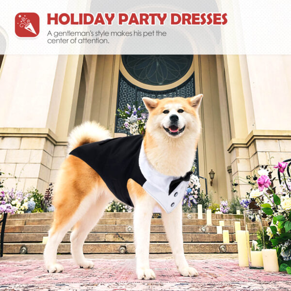 Vd80 Bow Dress For Dogs Black (4)