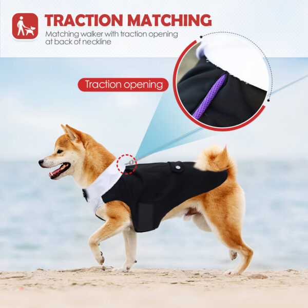Vd80 Bow Dress For Dogs Black (5)