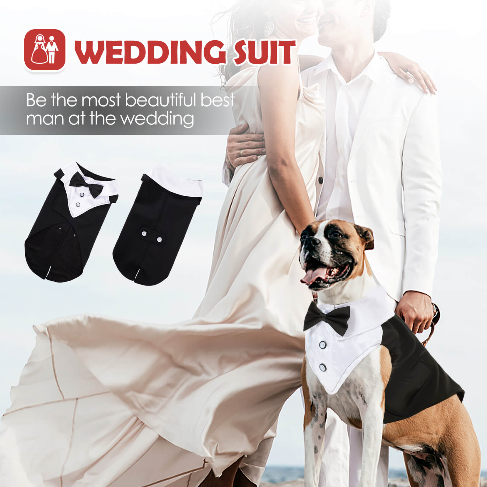Vd80 Bow Dress For Dogs Black (6)