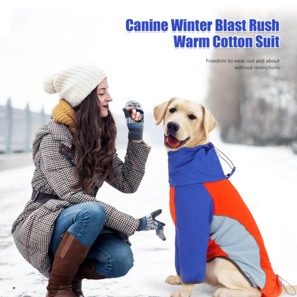 Vd82 Dog Winter Cloth Blue & Red Wholesale (4)