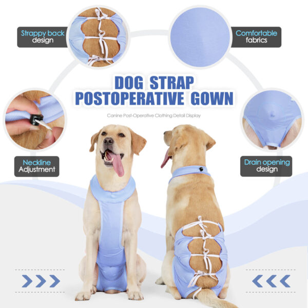Vd83 Dog Surgery Recovery Suit Pink (2)
