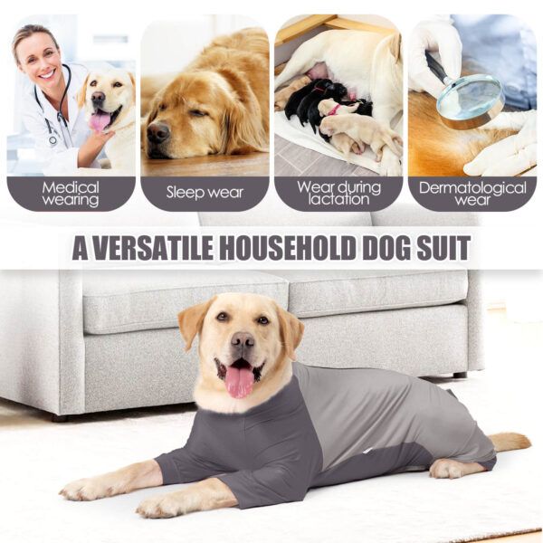 Vd85 Hair Proof Four Legged Clothing For Dogs Grey (4)