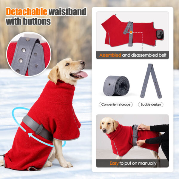 Vd88 Dog Belt Cape Red Green Wholesale Red (3)