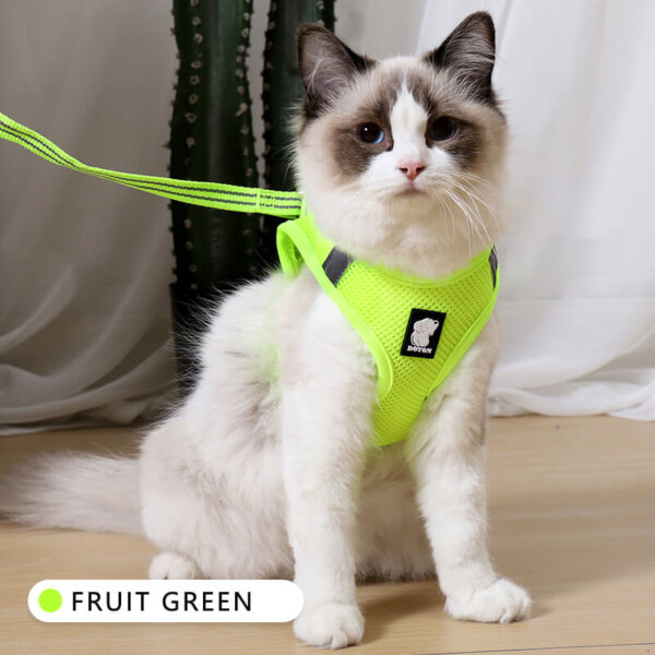 VC14-Air Cat Harness Wholesale Supply (1)