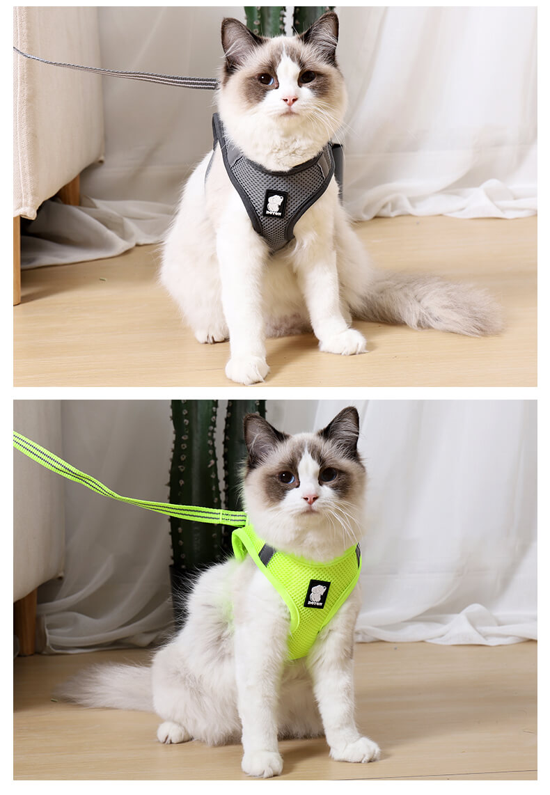 VC14-Air Cat Harness Wholesale Supply (10)