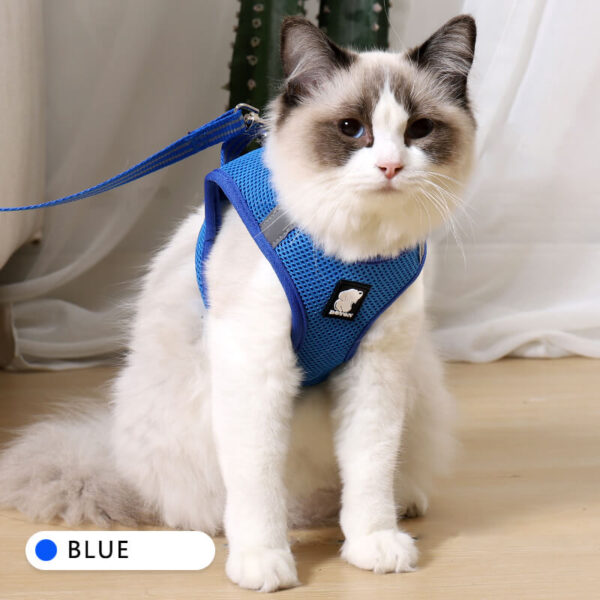 VC14-Air Cat Harness Wholesale Supply (2)