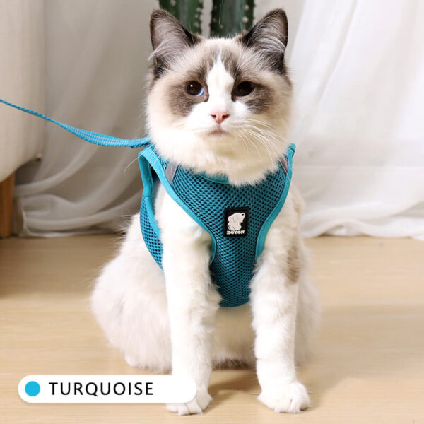 VC14-Air Cat Harness Wholesale Supply (3)