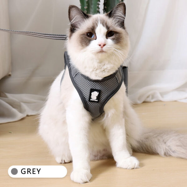VC14-Air Cat Harness Wholesale Supply (4)