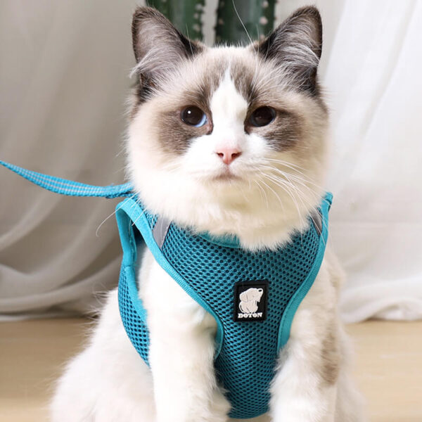 VC14-Air Cat Harness Wholesale Supply (5)