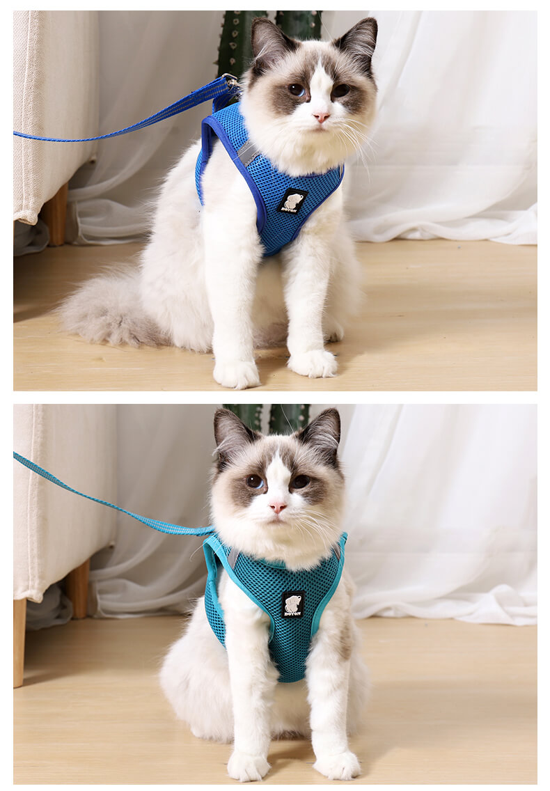 VC14-Air Cat Harness Wholesale Supply (9)