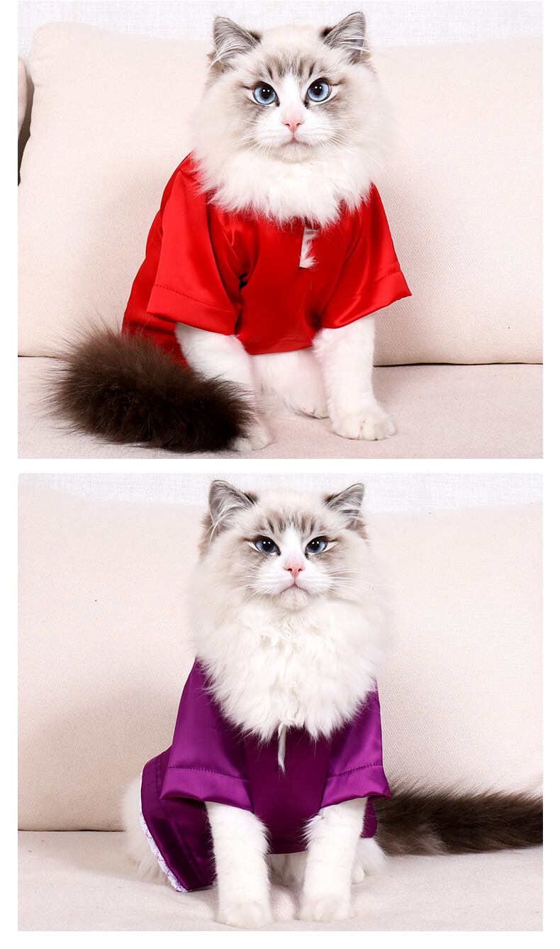 VC15 Colorful Cat T-shirt Clothing Wholesale (12)