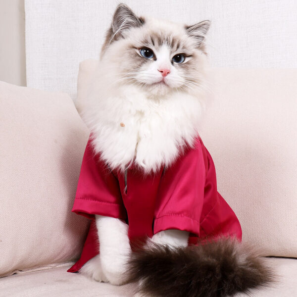 VC15 Colorful Cat T-shirt Clothing Wholesale (13)