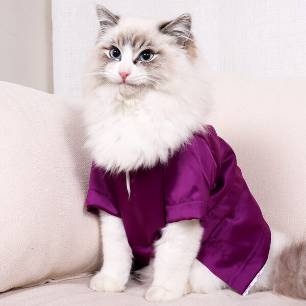 VC15 Colorful Cat T-shirt Clothing Wholesale (14)