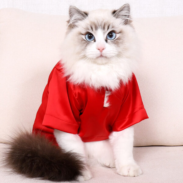 VC15 Colorful Cat T-shirt Clothing Wholesale (3)