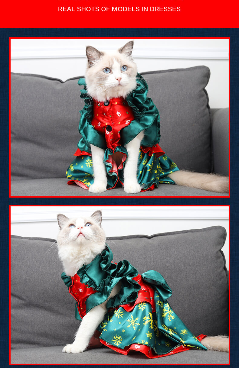 VC18 Cat Dress Christmas Dress Wholesale Supply (8)