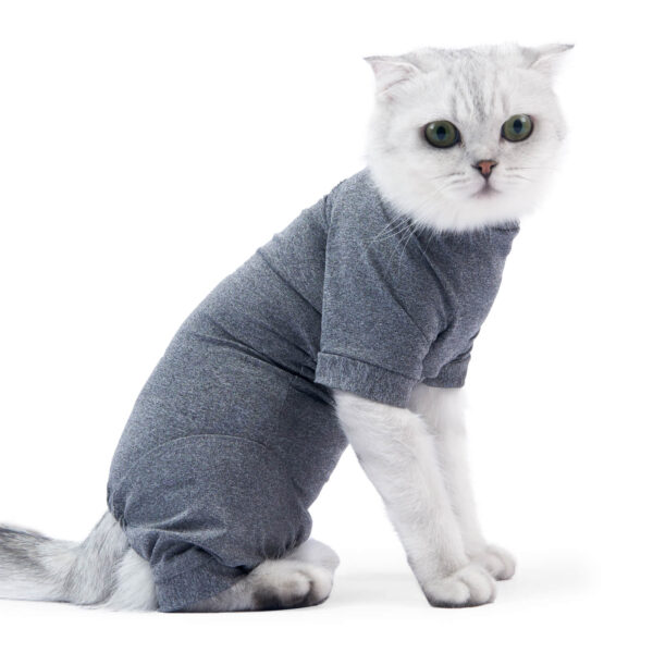 VC25 Cat Four-legged Coat Recovery Suit - Grey (1)