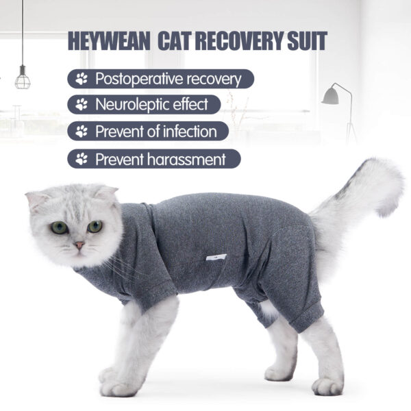 VC25 Cat Four-legged Coat Recovery Suit - Grey (3)