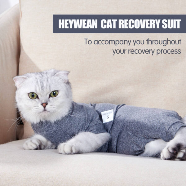 VC25 Cat Four-legged Coat Recovery Suit - Grey (4)