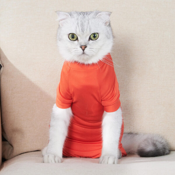 VC25 Cat Four-legged Coat Recovery Suit - Red (5)