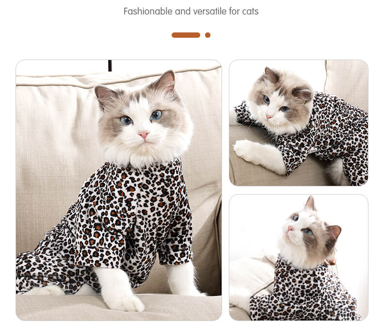 VC26 Cats Wear Leopard-print Four-legged Clothing (4)