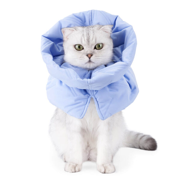 VC27 Padded Anti-lick Neck for Pets Wholesale (11)