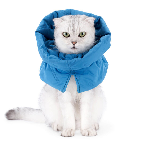 VC27 Padded Anti-lick Neck for Pets Wholesale (2)