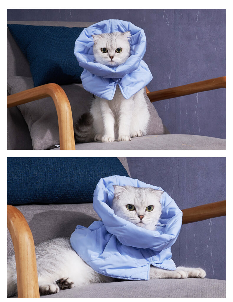 VC27 Padded Anti-lick Neck for Pets Wholesale (8)