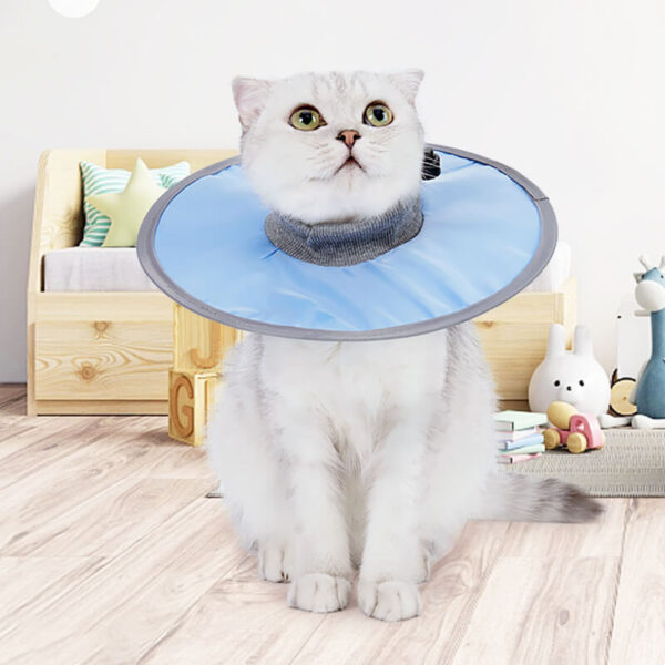 VC31 Elizabeth Loop Collar for Pet Cats (1)