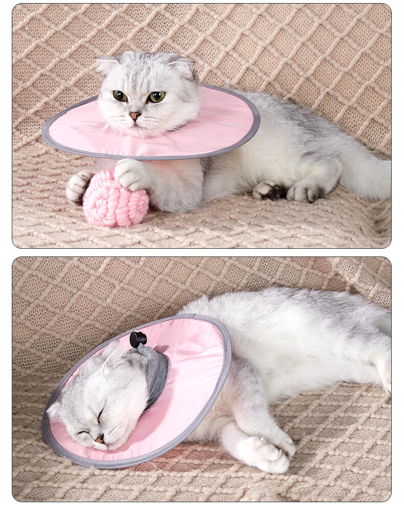 VC31 Elizabeth Loop Collar for Pet Cats (13)