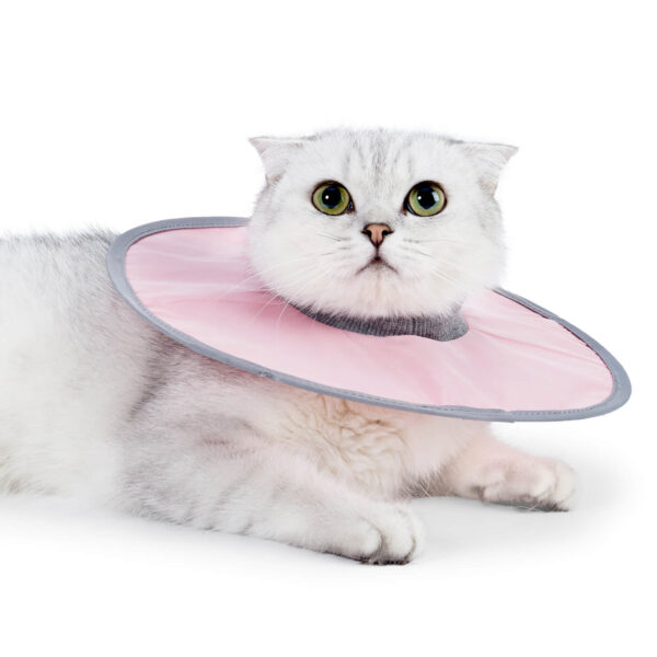 VC31 Elizabeth Loop Collar for Pet Cats - Pink