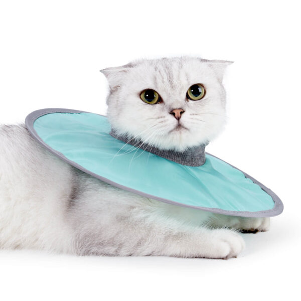 VC31 Elizabeth Loop Collar for Pet Cats - Green
