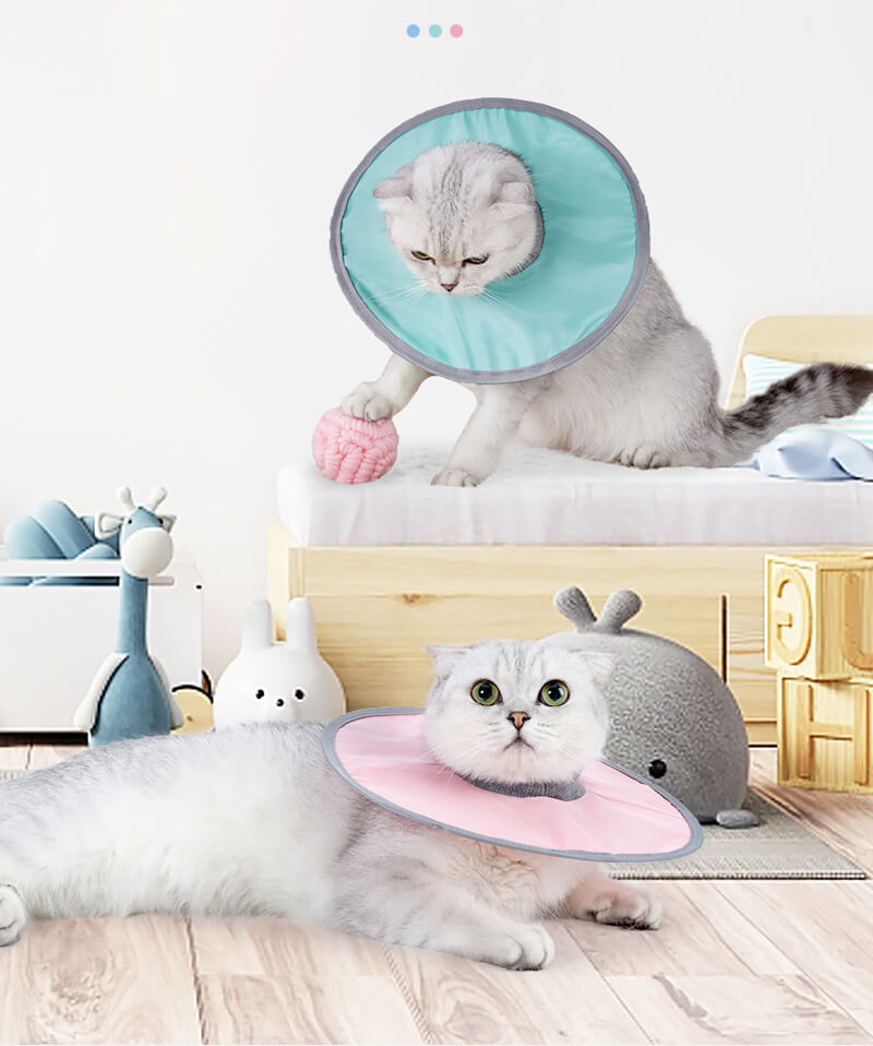 VC31 Elizabeth Loop Collar for Pet Cats (6)