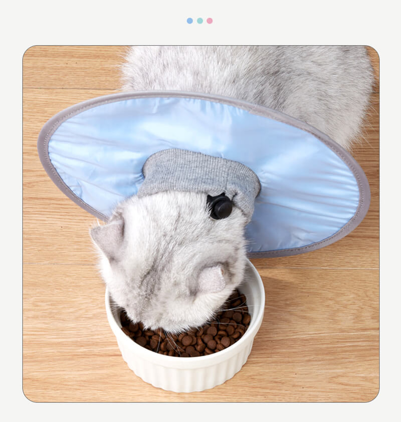 VC31 Elizabeth Loop Collar for Pet Cats (7)