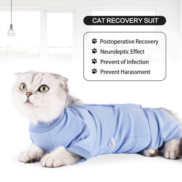 VC33 Pet Cat Recovery Suit with Velcro Wholesale Supply 004