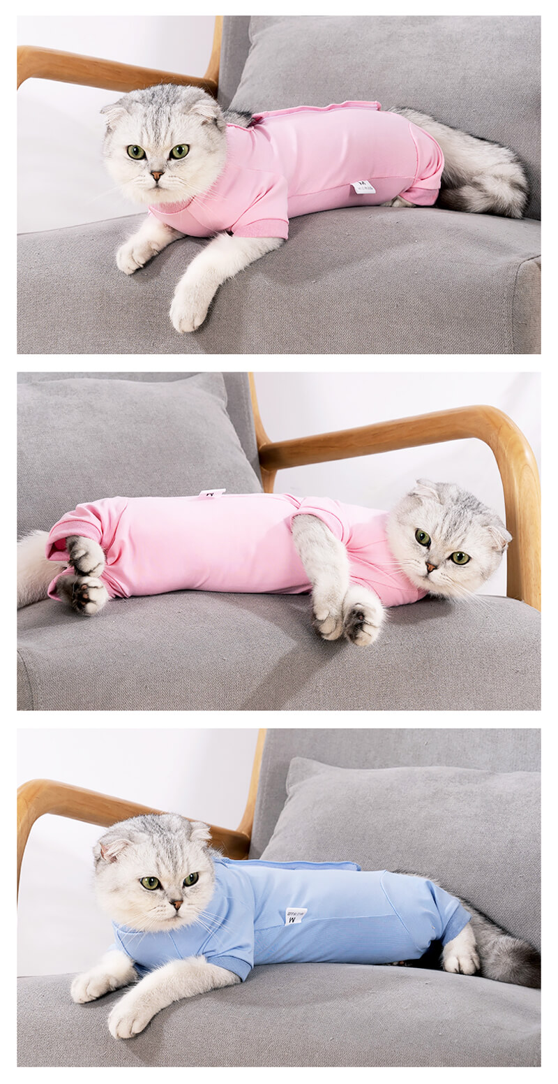 VC33 Pet Cat Recovery Suit with Velcro Wholesale Supply (8)