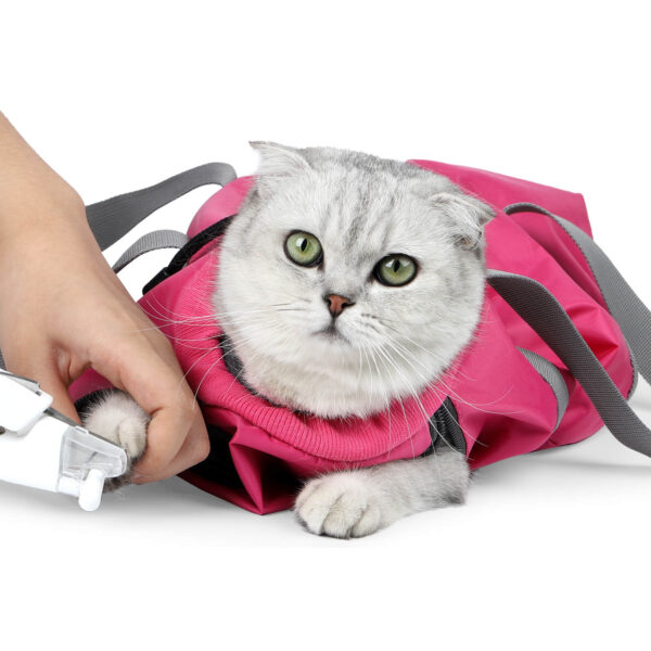VC35 Safe Carrier Bag for Cats Magenta Color (1)