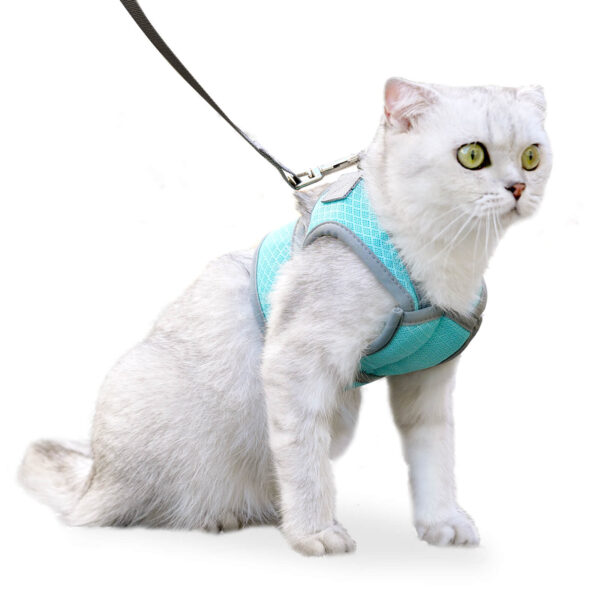 VC37 Cat Harness for Pet Safety Wholesale Supply (1)