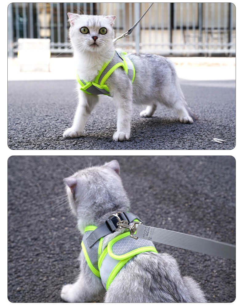 VC37 Cat Harness for Pet Safety Wholesale Supply (10)