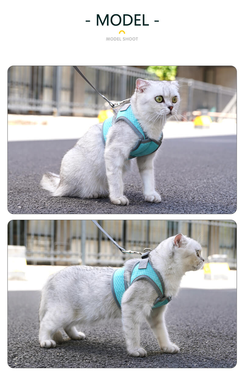 VC37 Cat Harness for Pet Safety Wholesale Supply (9)