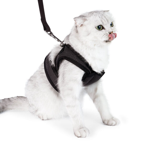 VC37 Cat Harness for Pet Safety Wholesale Supply - Image 4