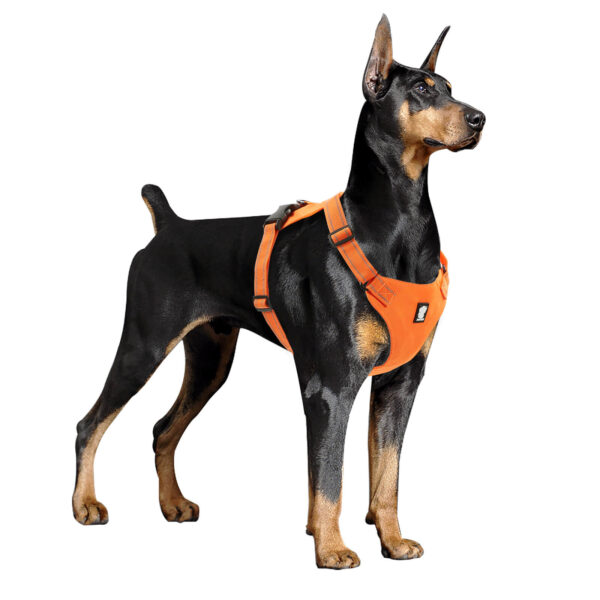 VD33-Lightweight Dog Harness for Pet Wholesale - Image 2