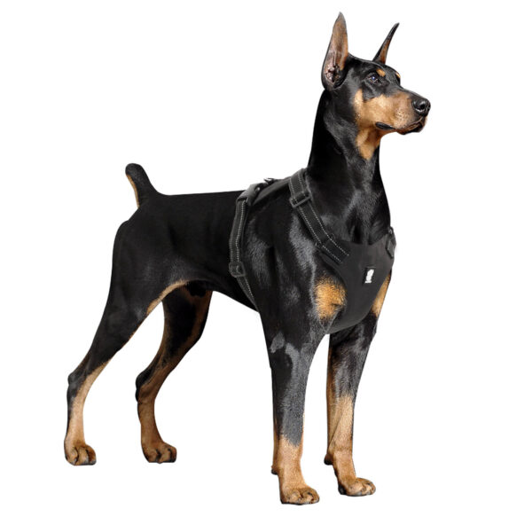 VD33-Lightweight Dog Harness for Pet Wholesale - Image 3