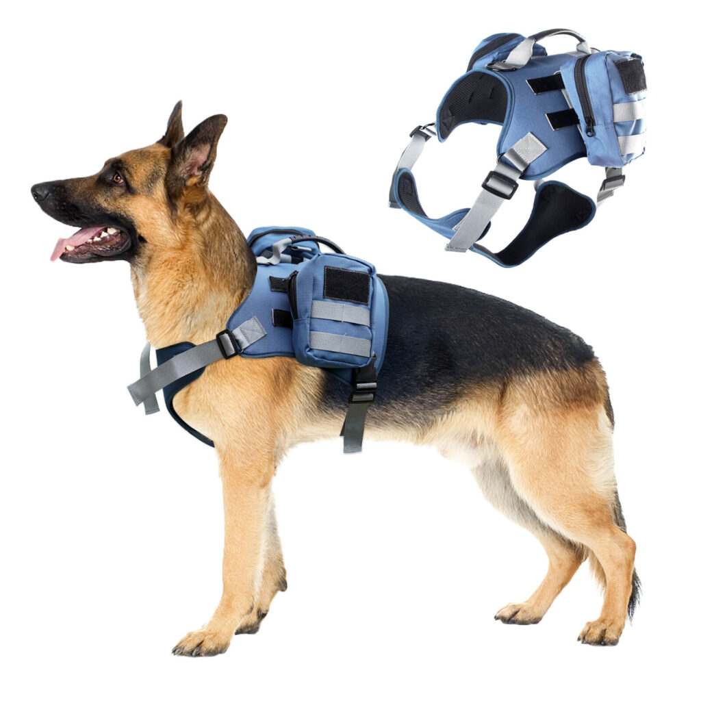 VD34 Dog Tactical Harness Set for Pet Safety Wholesale - Blue (1)