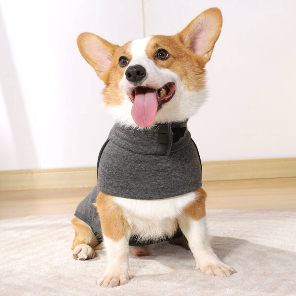 VD35 Dog Turtleneck Fleece Sweatshirt Pet Clothing - Image 2
