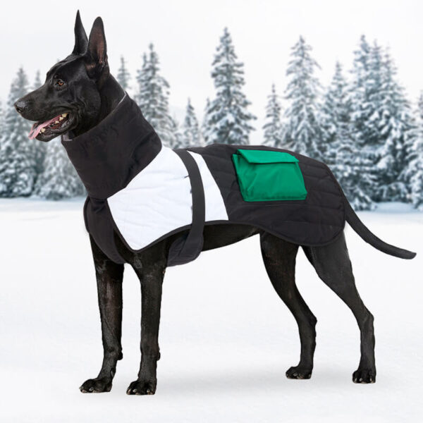 VD39 Color Block Cotton Clothing for Dogs Pet - Image 2