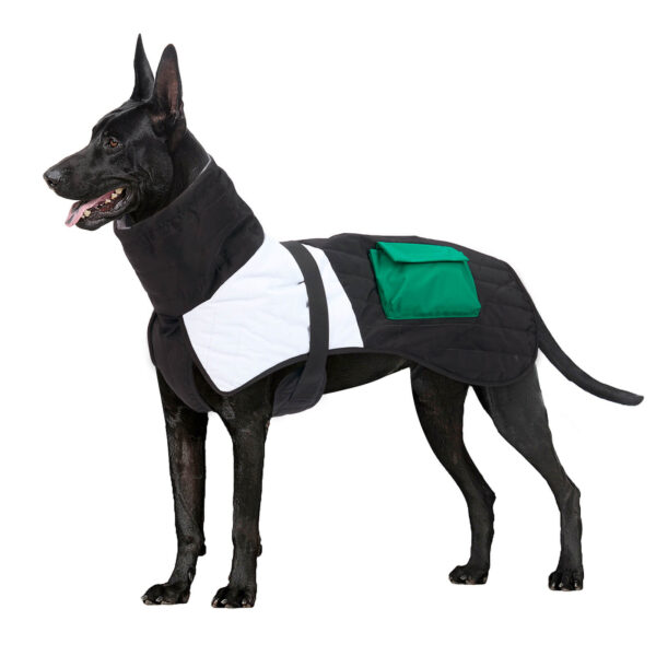 VD39 Color Block Cotton Clothing for Dogs Pet - Image 4