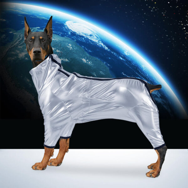 VD42 Four-legged Space Suit for Dogs Cothing Wholesale