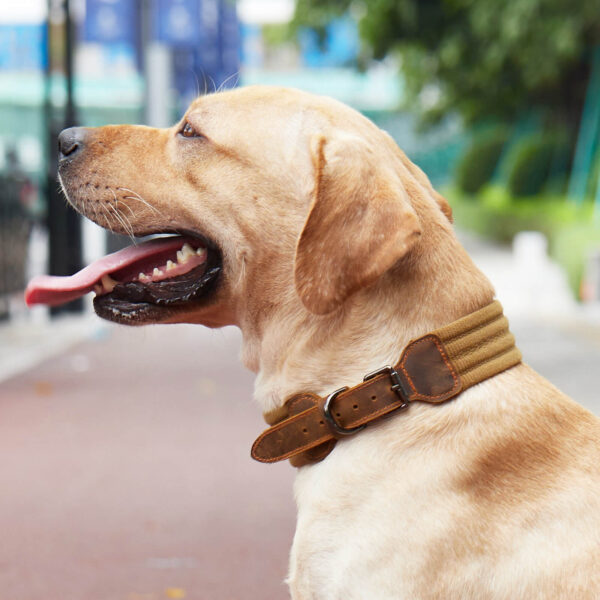 VD45 Tactical Collar for Medium and Large dogs Wholesale
