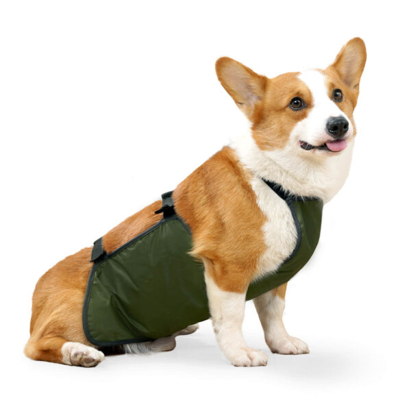 VD53 Bellyband for Medium and Large Dogs Pet